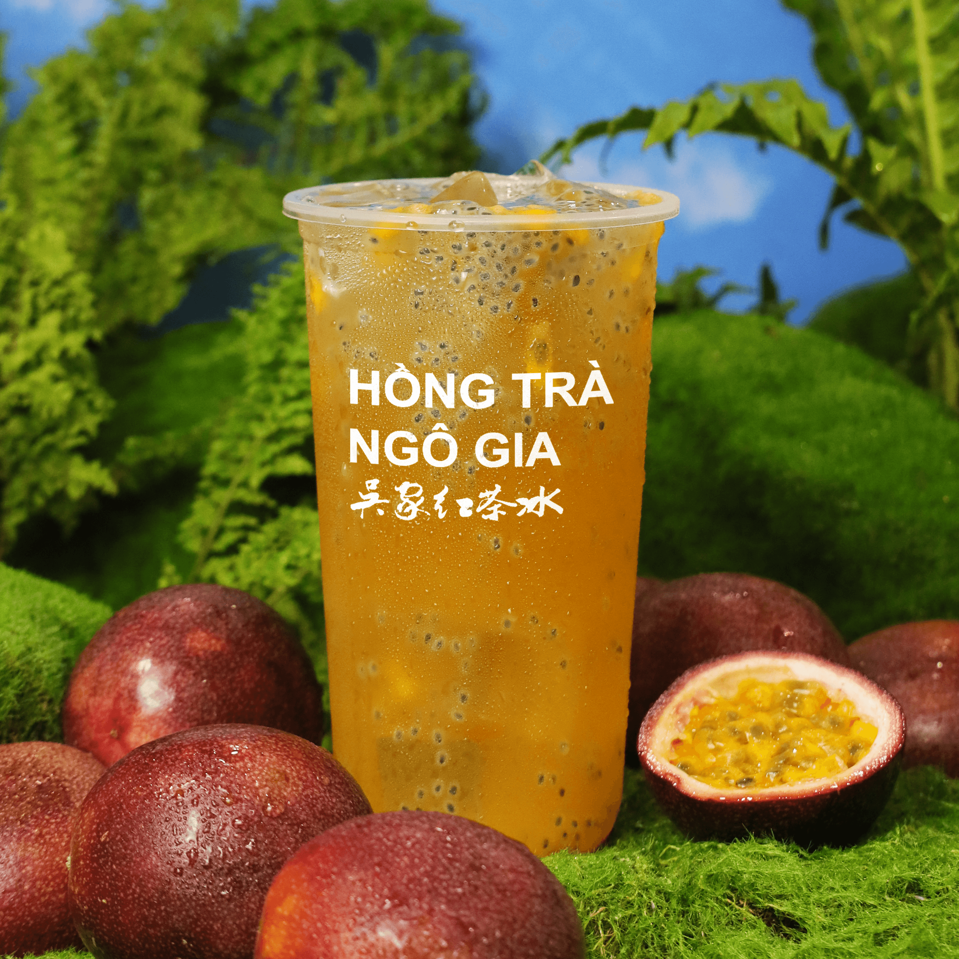 Ô Long Ô Mai Chanh Dây